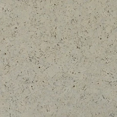BORNEO WHITE